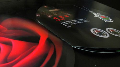 �麣�����v�����Ļ��������޹�˾ �V�残���OӋ��˾ 