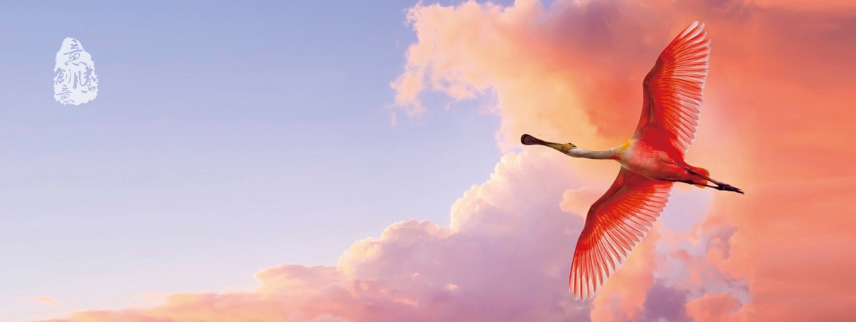 �P�����v�V��